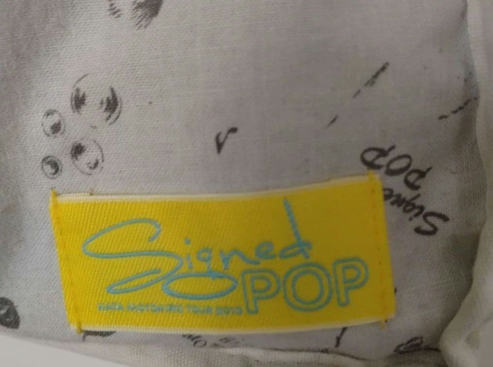 入手困難 秦基博 2013年ツアー グッズ リバーシブルバック と パーカー