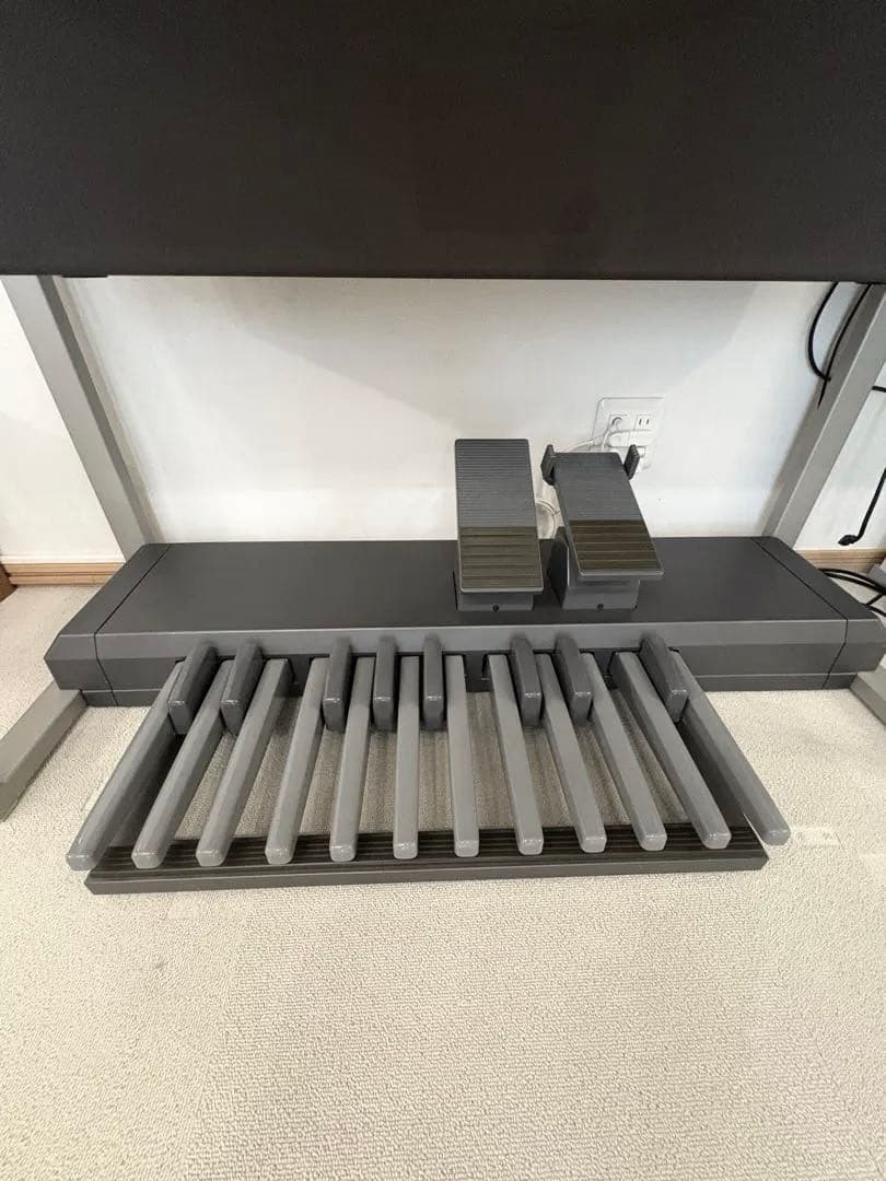 YAMAHA STAGEAカスタム　ELS-01CH バイタライズ済