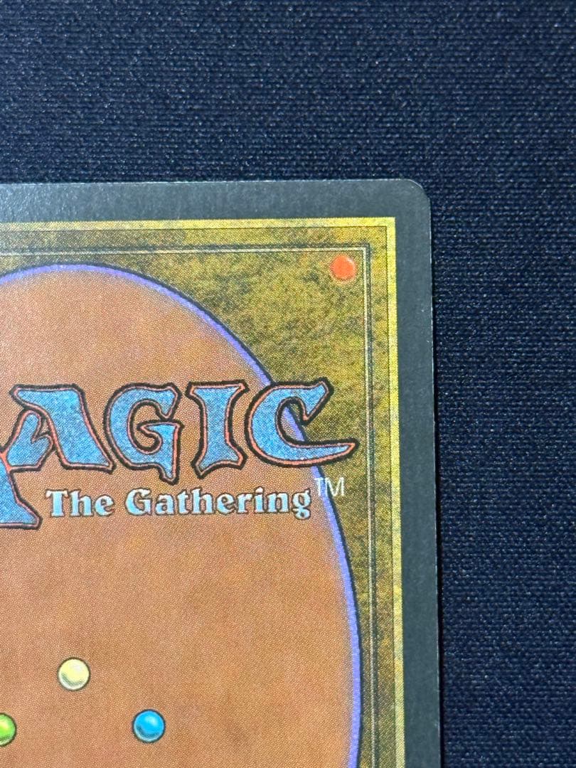 MTG tropical  イタリア語　白枠　1枚