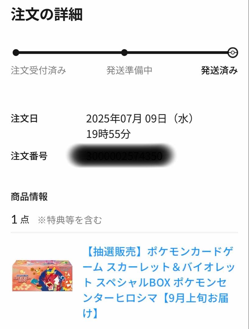 【新品・完全未開封】ポケモンセンター ヒロシマ スペシャルボックス　シュリンク付