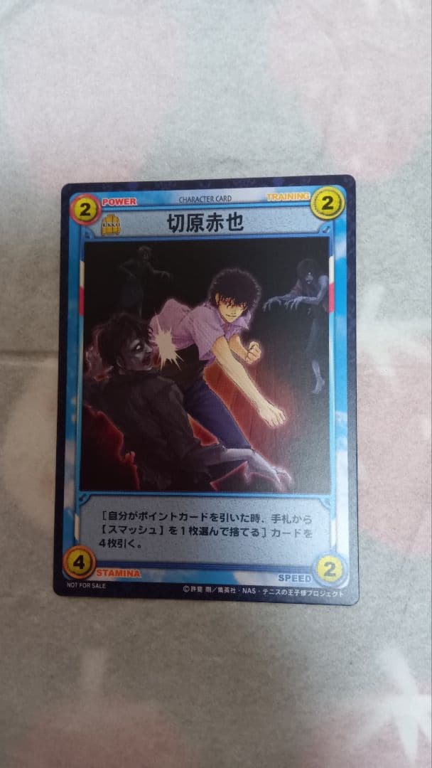 テニスの王子様PS2版「ドキドキサバイバル山麓のMystic特典」