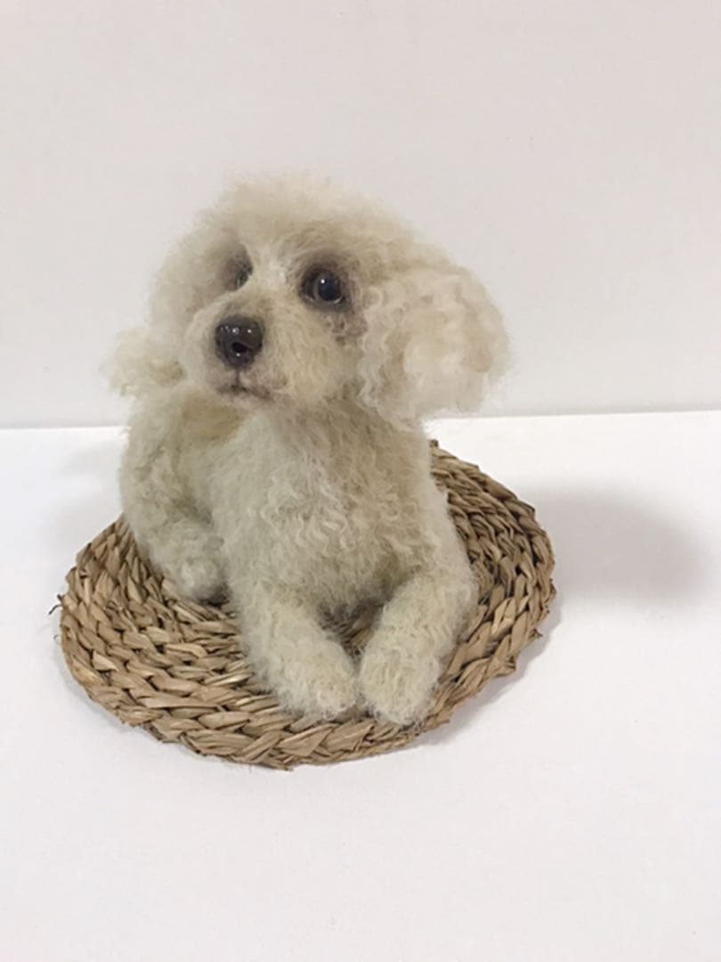 羊毛フェルト　リアルの犬　sold