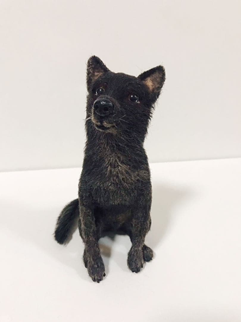 羊毛フェルト　リアルの犬　sold
