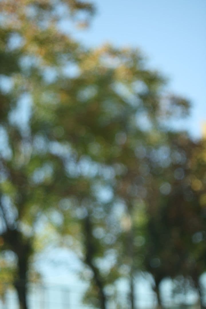 AUTO YASHINON-DX 50mm f1.4【作例あり】