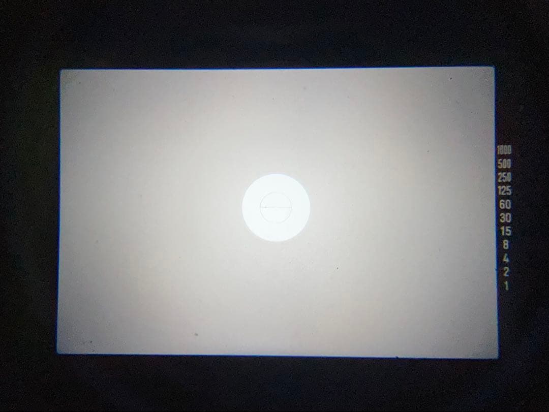 【オート精度非常に良好】minolta X-7／SIGMA 28mm F2.8