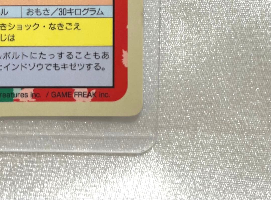 トップサン 裏青 ポケモンカード 進化セット ピカチュウ・ライチュウ