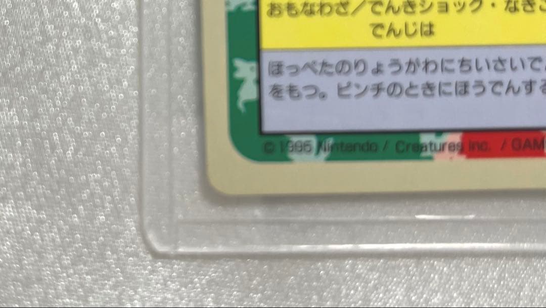 トップサン 裏青 ポケモンカード 進化セット ピカチュウ・ライチュウ
