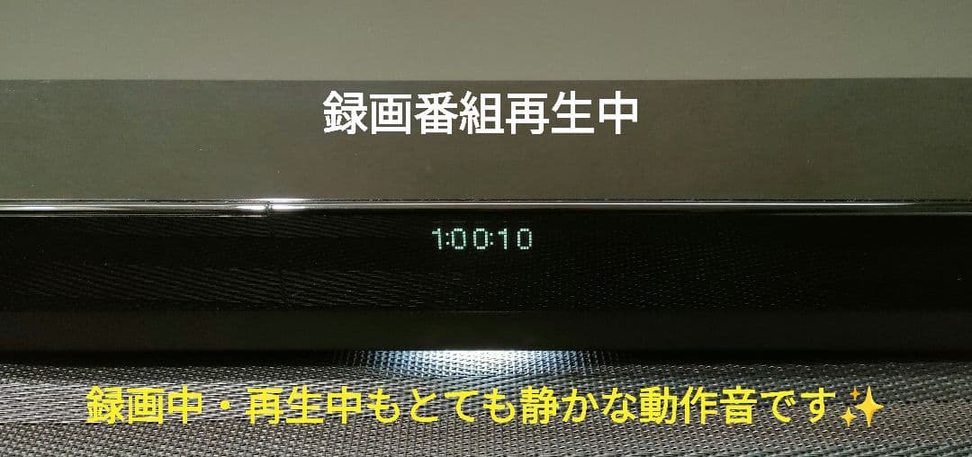 極上美品！超良品！2TB！W録！超高画質！SONY BDZ-FW1000