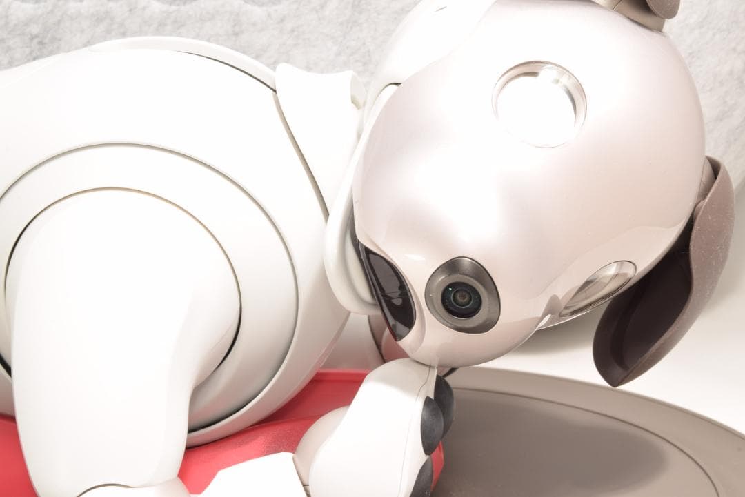 非常に綺麗 良品 ソニー SONY アイボ ERS-1000 AIBO 犬型