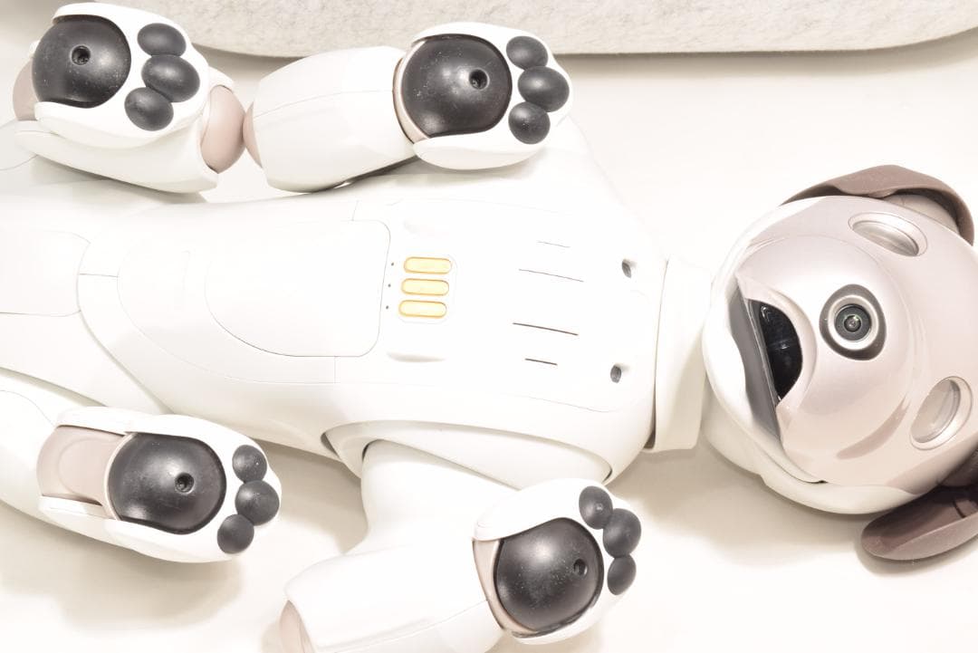 非常に綺麗 良品 ソニー SONY アイボ ERS-1000 AIBO 犬型