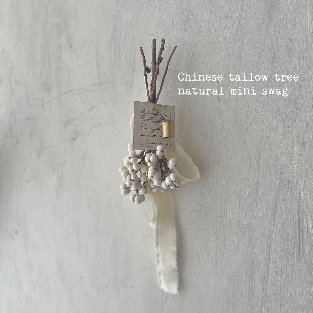 ＊ナンキンハゼのナチュラルミニスワッグ＊№919 メルカリ便 ラッピング