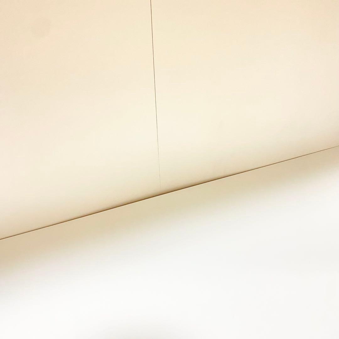 白井産業　タナリオ　オーダー　本棚　ブックシェルフ