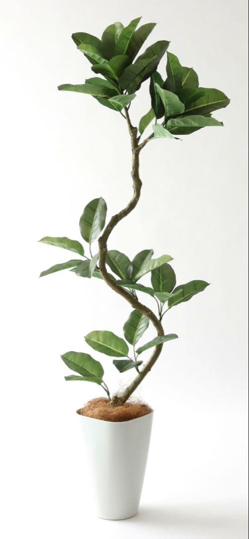 ゴムの木　フェイクグリーン　高さ132センチ　定価12,600円