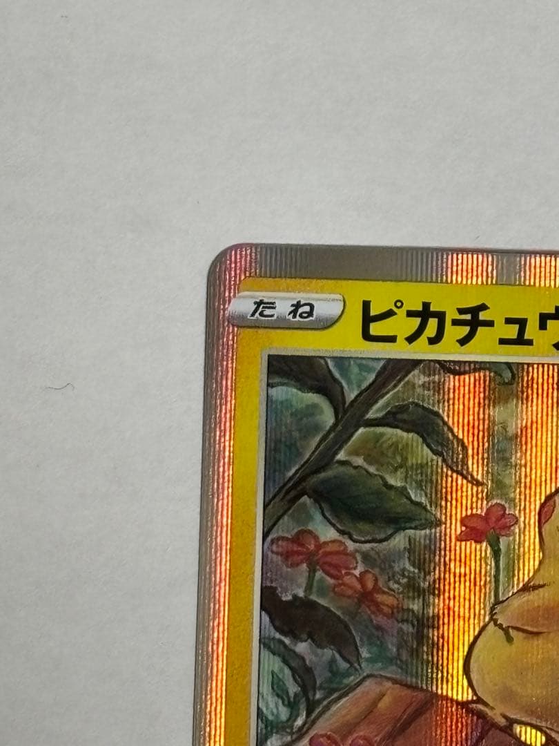 [極美品] ピカピカ！ピカチュウ！プロモカードキャンペーン！ピカチュウ
