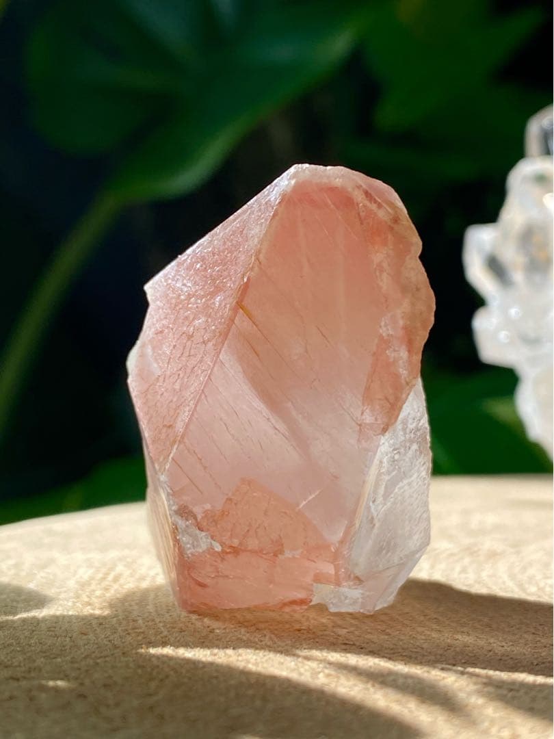 ピンクレムリアン　ドリームシルクレムリアンシード　天然石