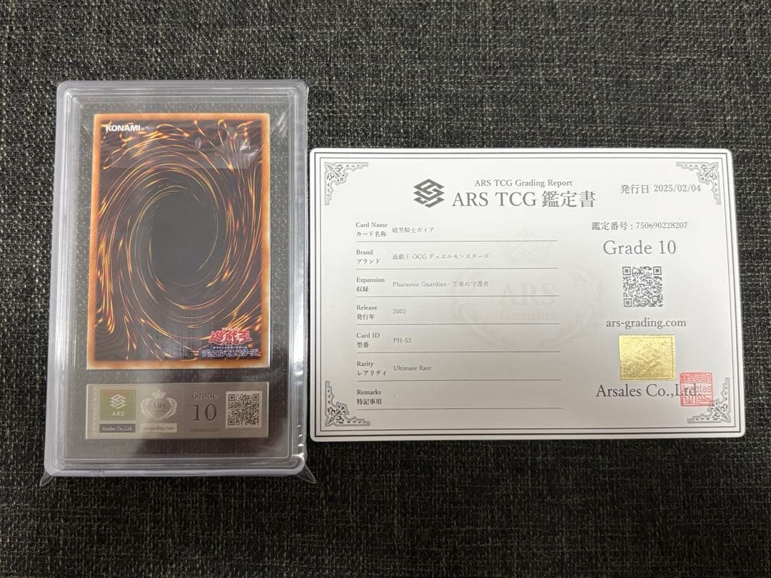 【完美品級】暗黒騎士ガイア　ars10