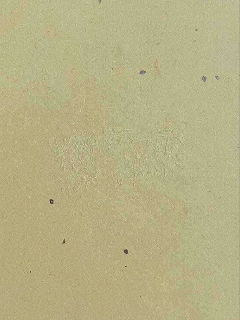 地雷系 メルリリちゃん アクスタ＋色紙セット おもちもなか先生 ♡