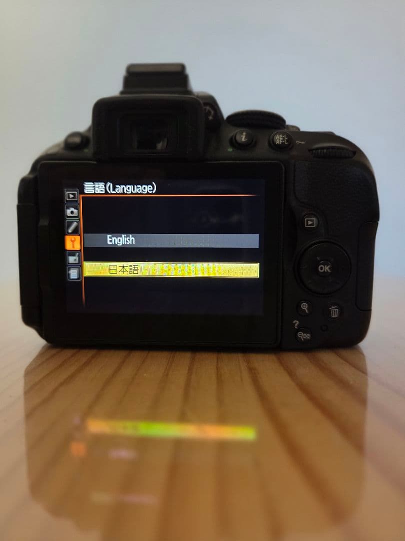 ★美品レベル★Nikon ニコン D5300 シャッター数 約9715回