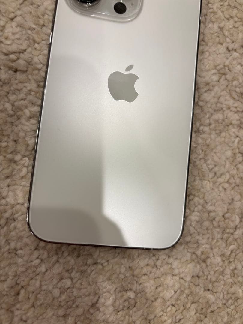 iPhone 13 Pro シルバーホワイト