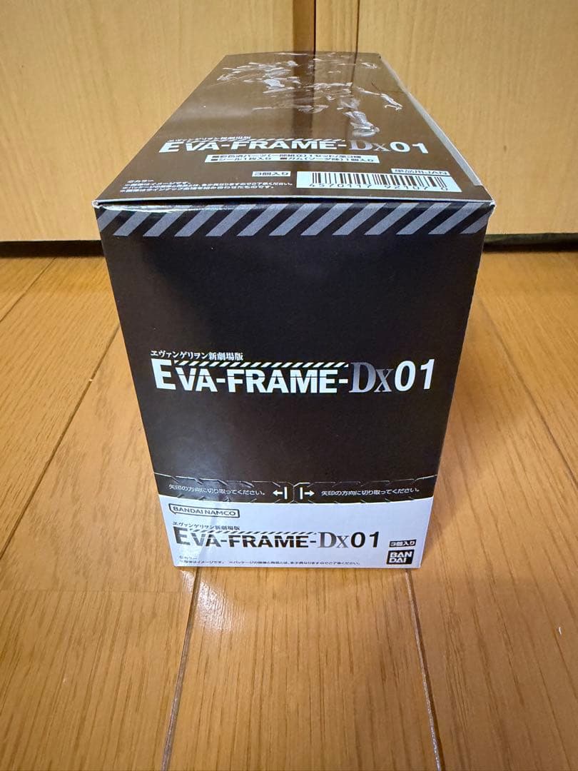 【新品未開封】EVA-FRAME-DX01：ヱヴァンゲリヲン新劇場版 1BOX