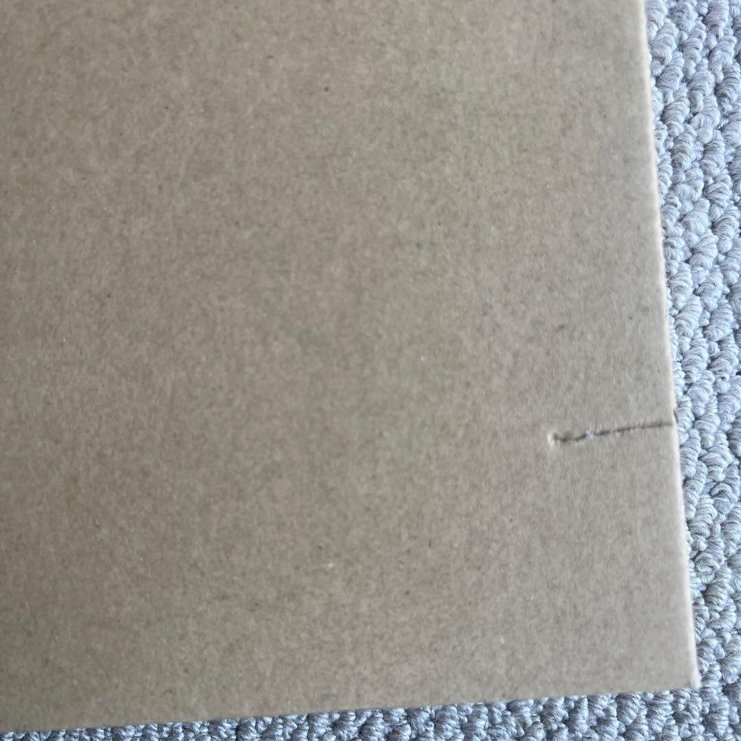 森の天使　透明水彩画　お値下げ致しました