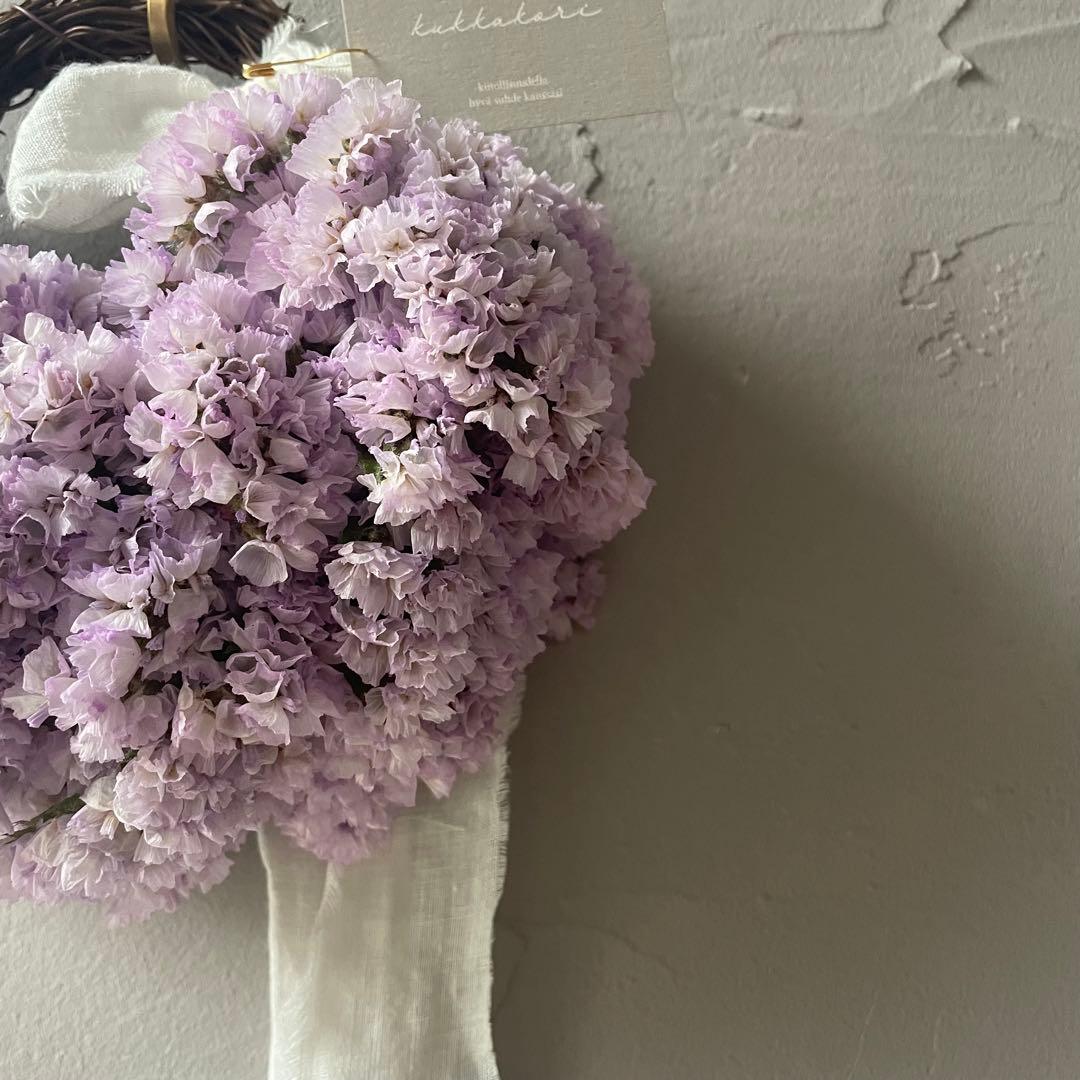 18.スターチスハーフリース