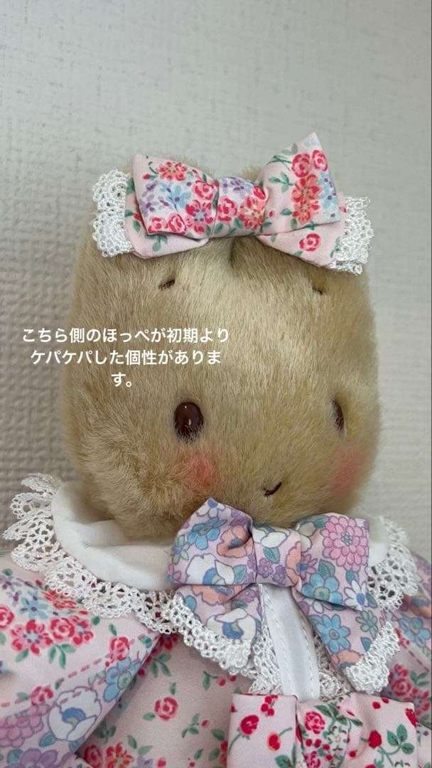 マロンクリーム　ぬいぐるみ　マロンクリームのファッションショー