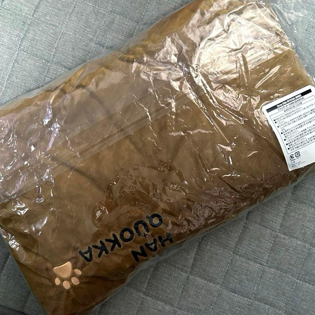 Stray Kids スキズ ポップアップ ブランケット HAN QUNKKA