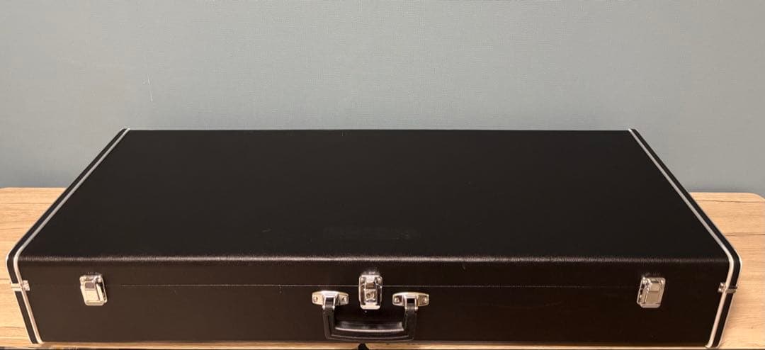 Alesis ion シンセサイザー 49鍵盤　ハードケース付き 動作確認済み。