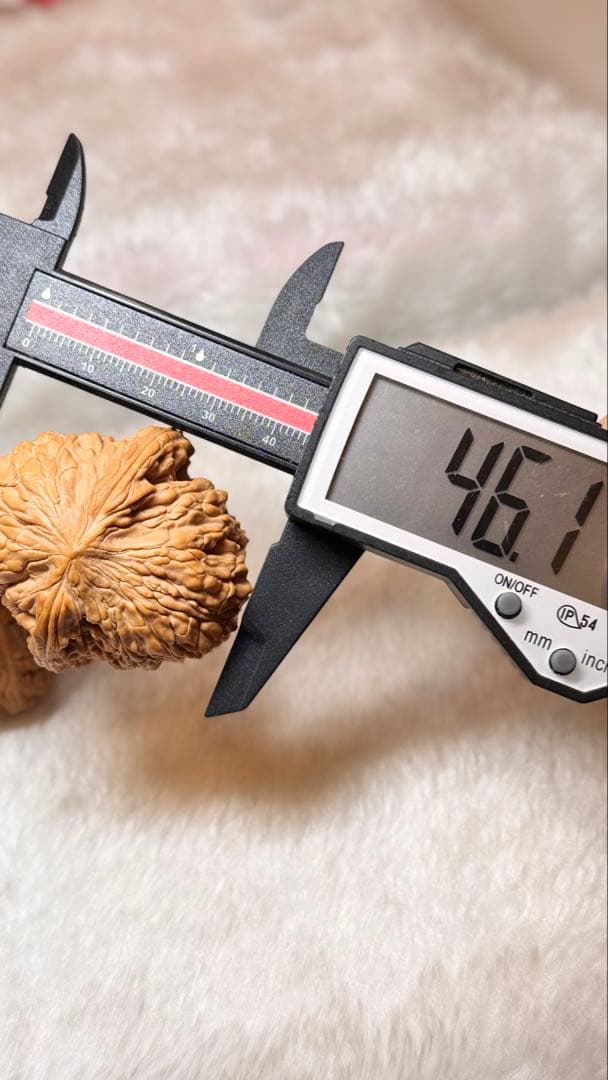 2025新商品 46泥鳅背8