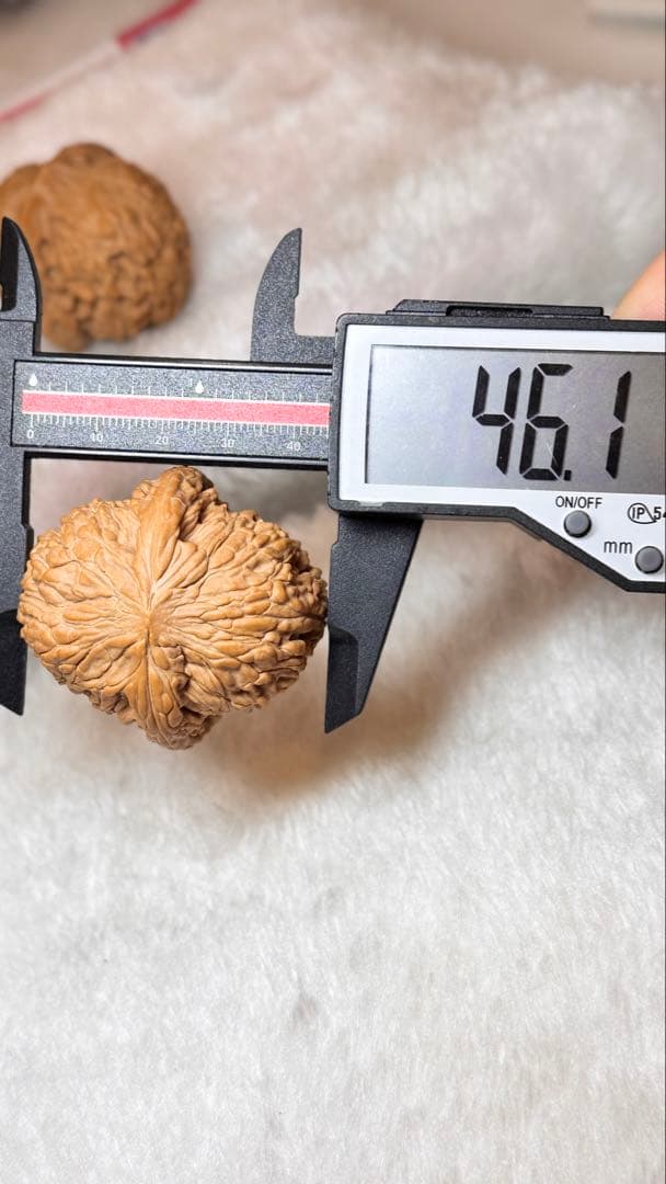 2025新商品 46泥鳅背8