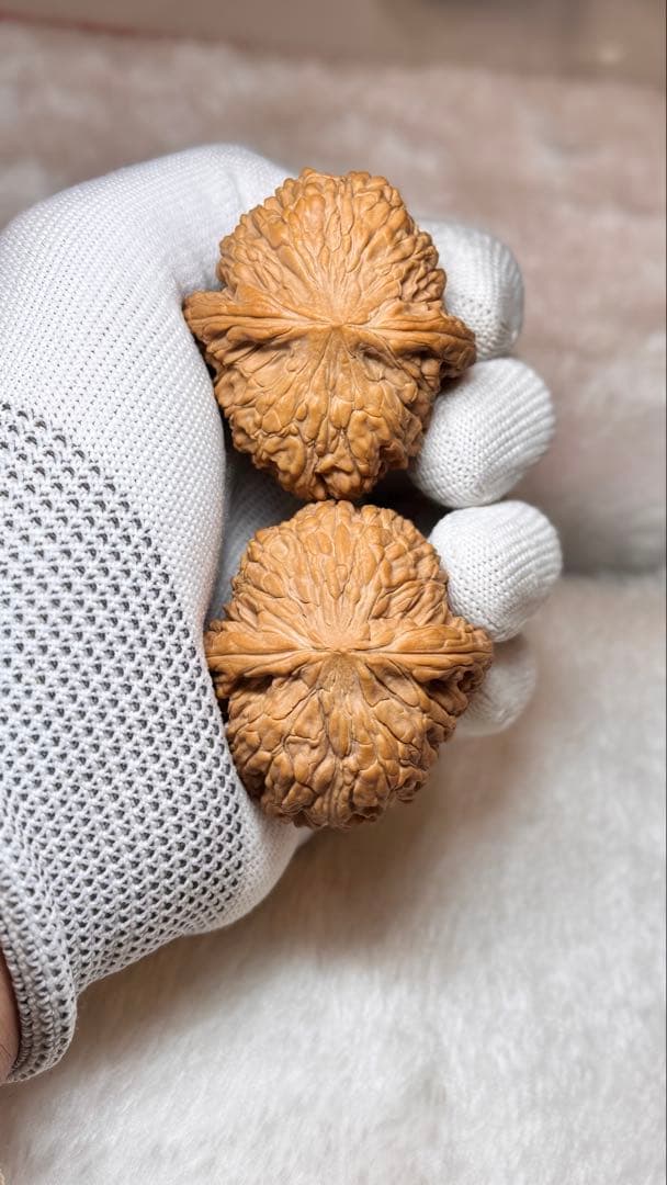 2025新商品 46泥鳅背8