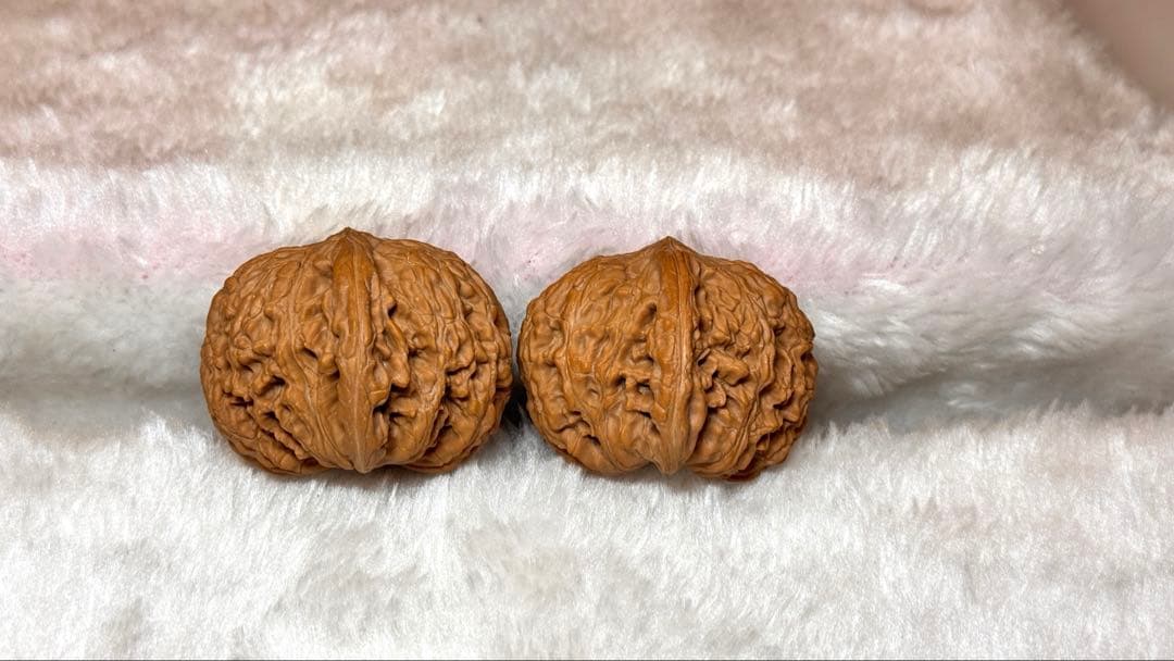 2025新商品 46泥鳅背8