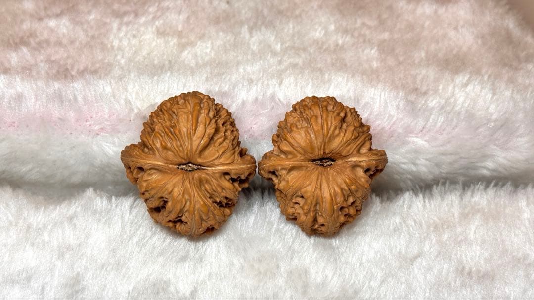 2025新商品 46泥鳅背8