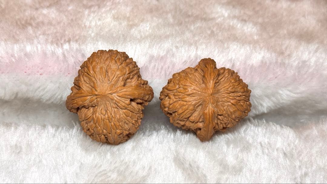 2025新商品 46泥鳅背8