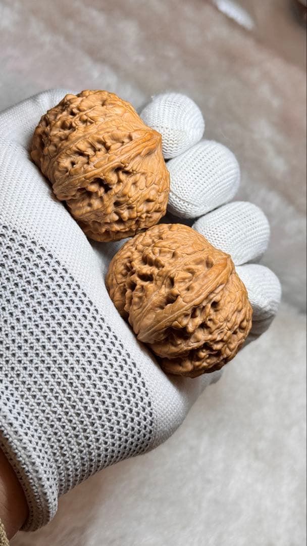 2025新商品 46泥鳅背8