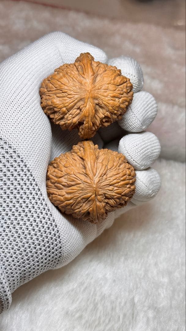 2025新商品 46泥鳅背8