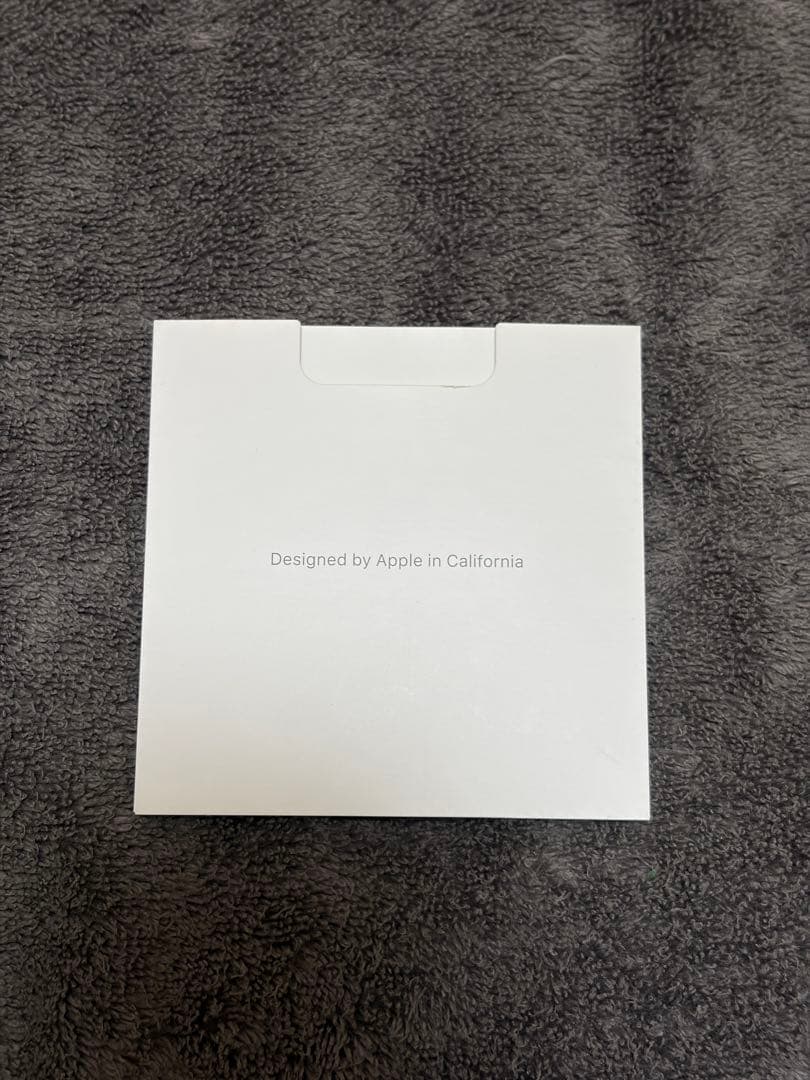 Apple AirPods Pro 第1世代 動作確認済 充電ケーブル付き