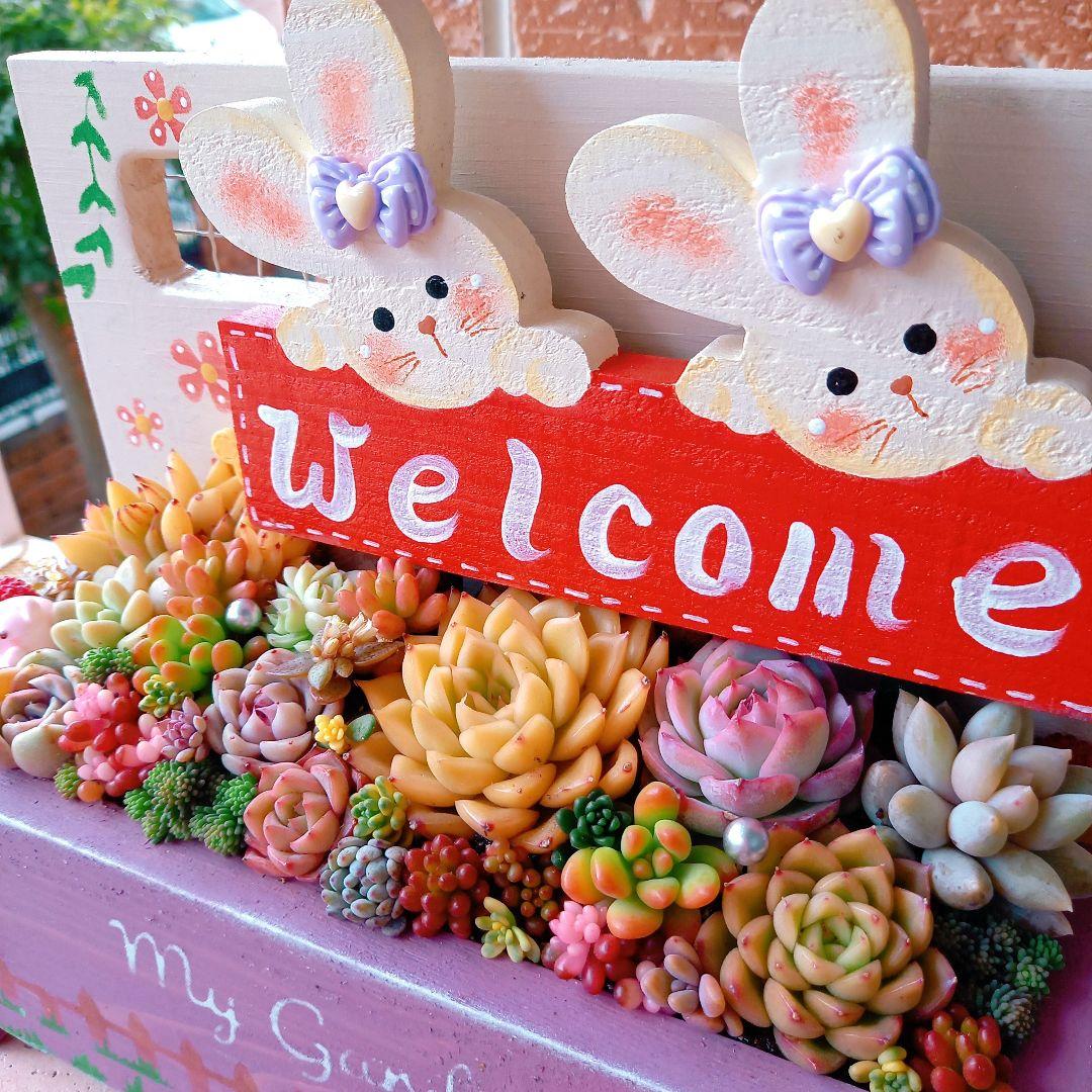 ❤️専用❤️多肉植物❤️そのまま飾れる寄せ植え❤️