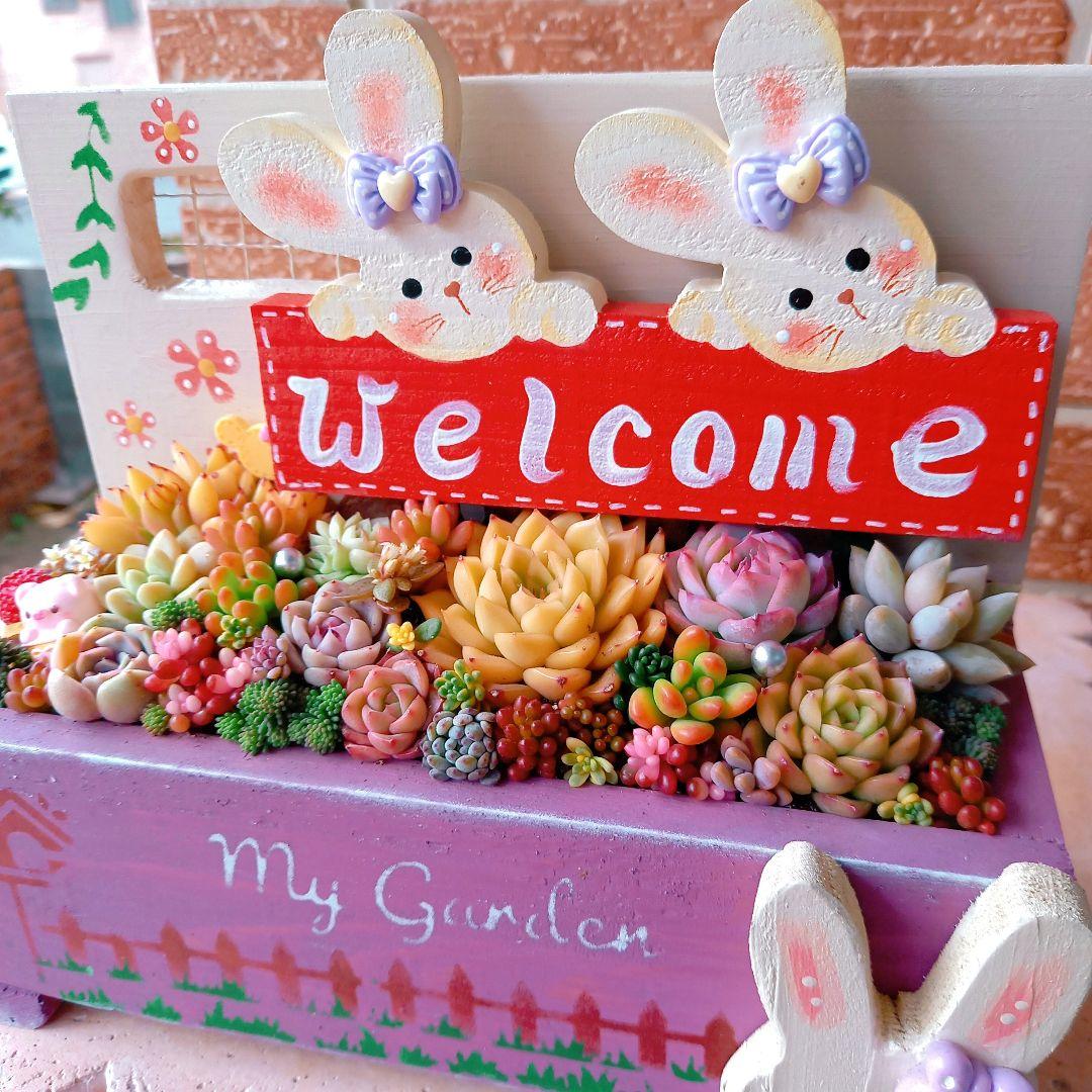 ❤️専用❤️多肉植物❤️そのまま飾れる寄せ植え❤️