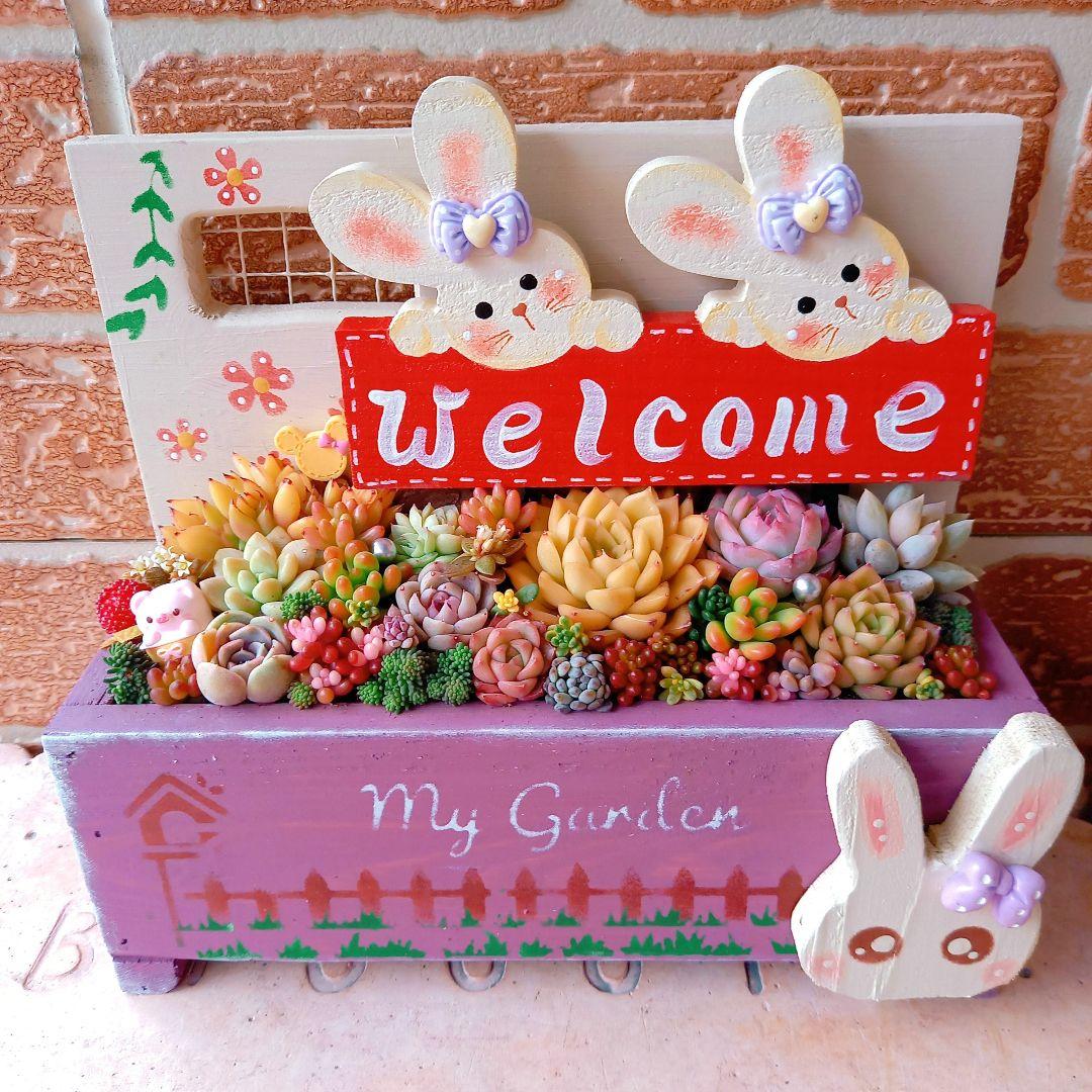 ❤️専用❤️多肉植物❤️そのまま飾れる寄せ植え❤️