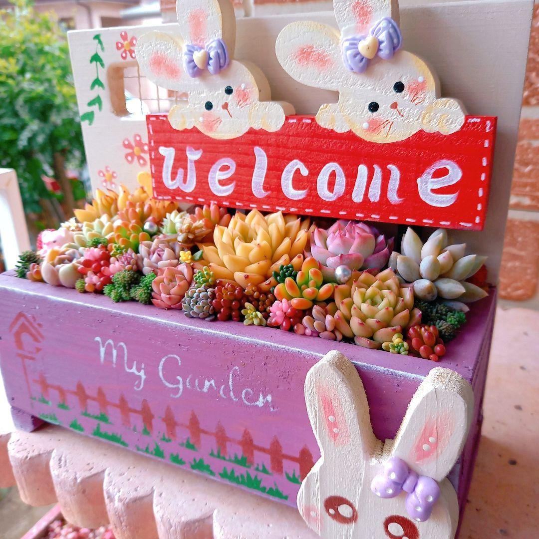 ❤️専用❤️多肉植物❤️そのまま飾れる寄せ植え❤️