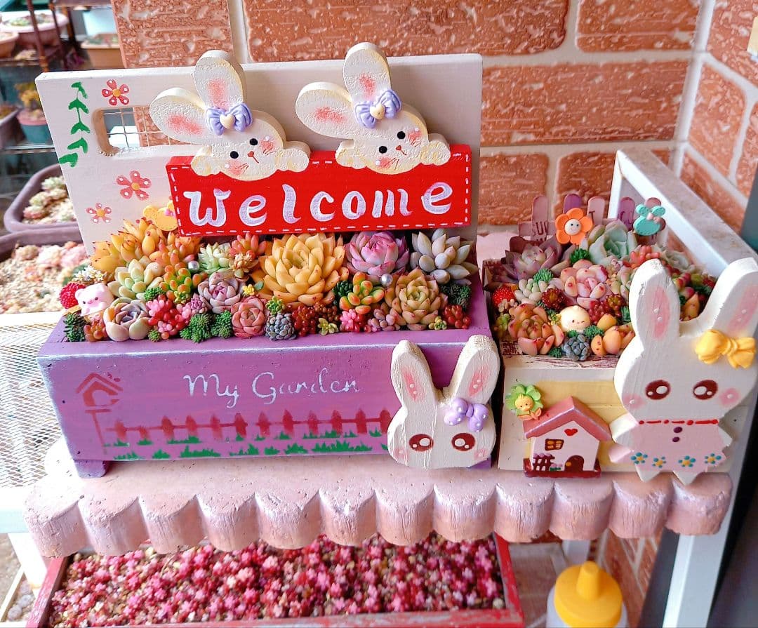 ❤️専用❤️多肉植物❤️そのまま飾れる寄せ植え❤️