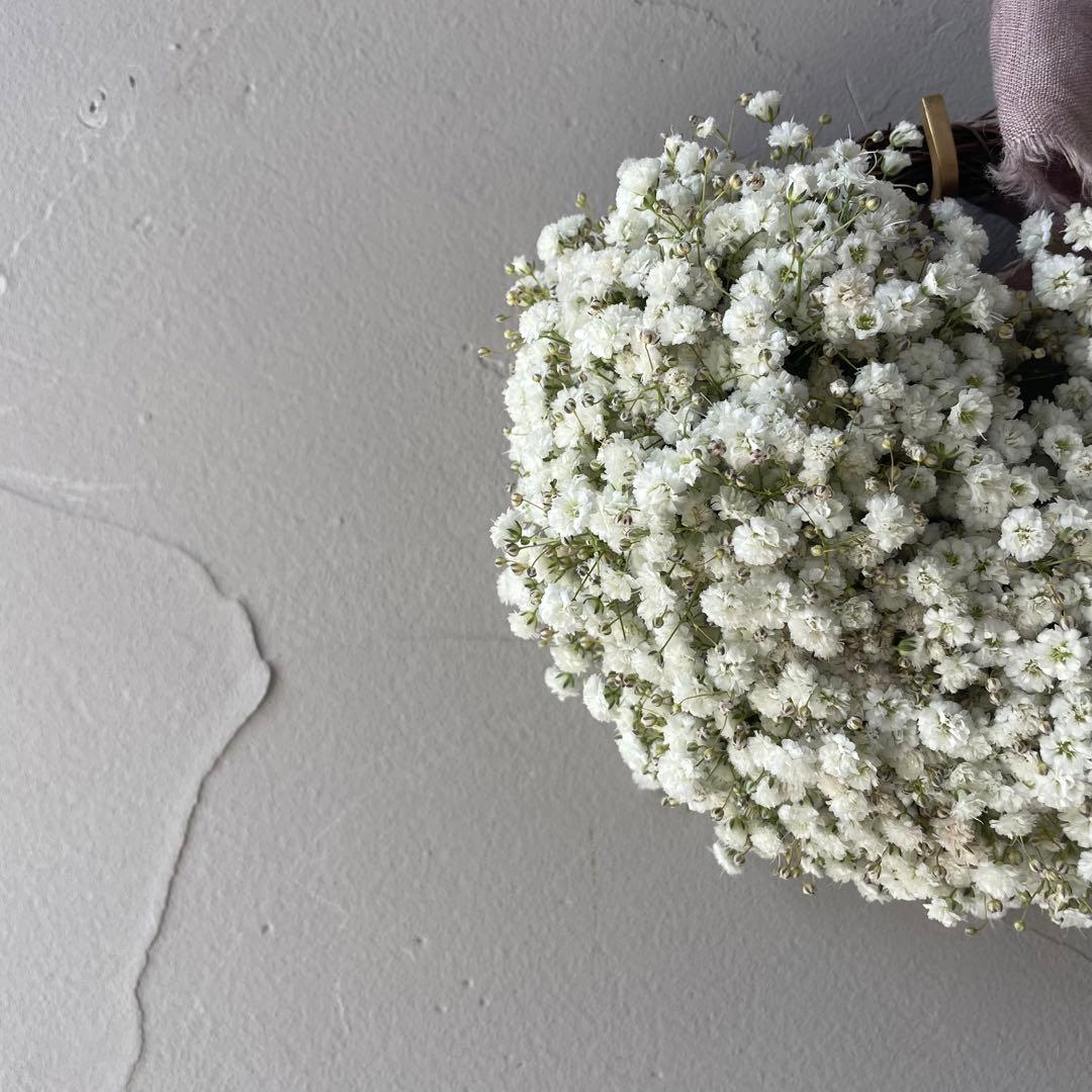 1.かすみ草ハーフリース