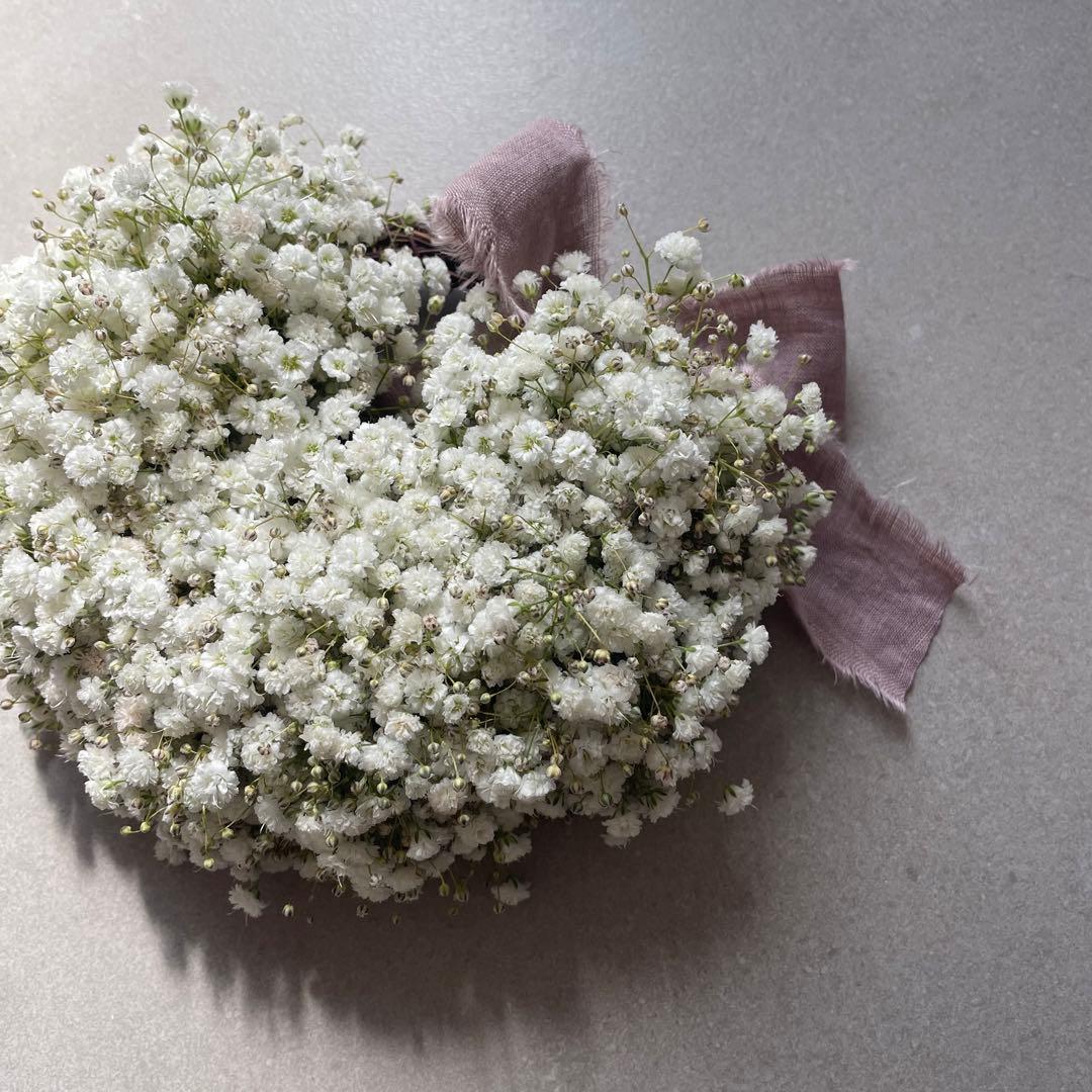 1.かすみ草ハーフリース