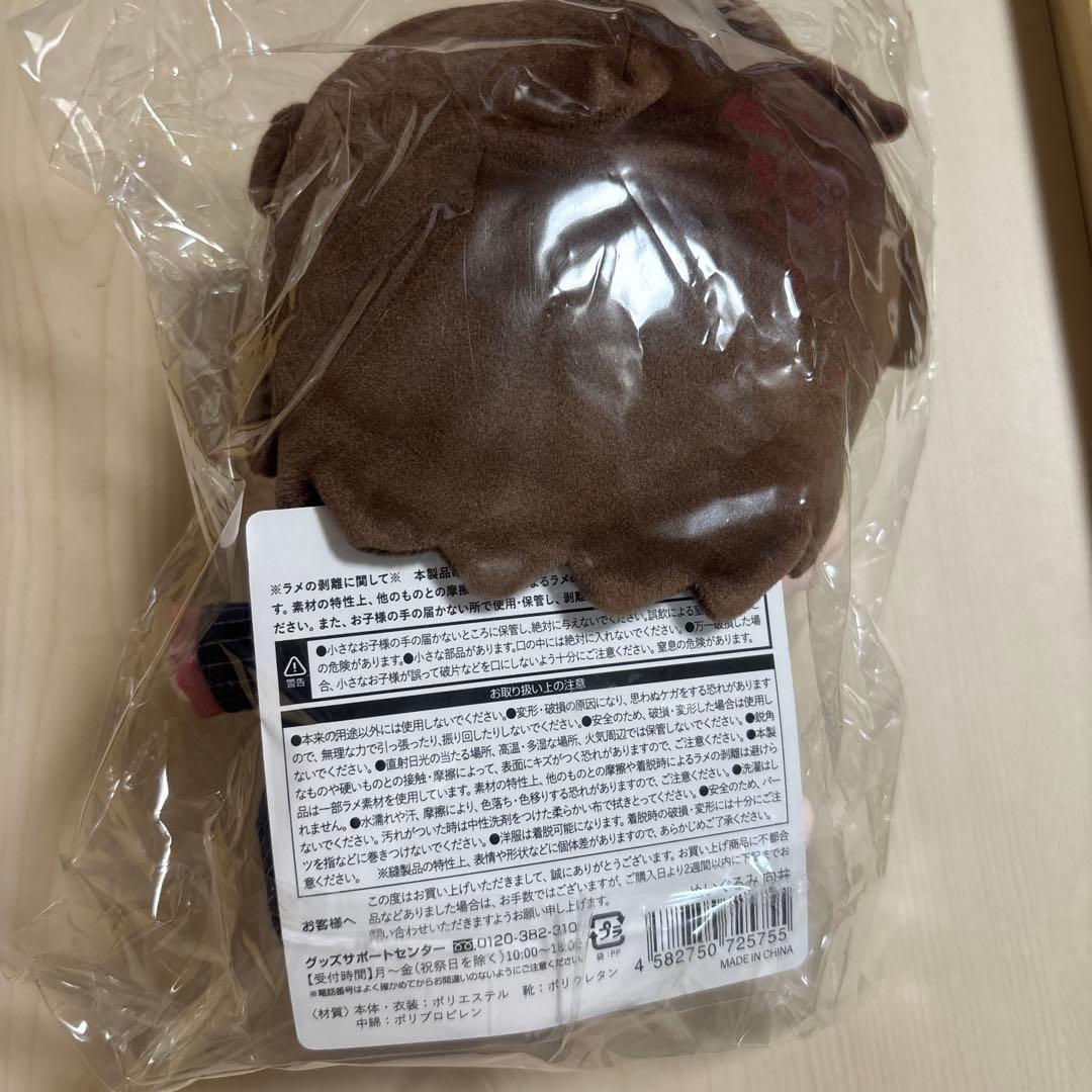 すのチル BIGぬいぐるみ 向井康二