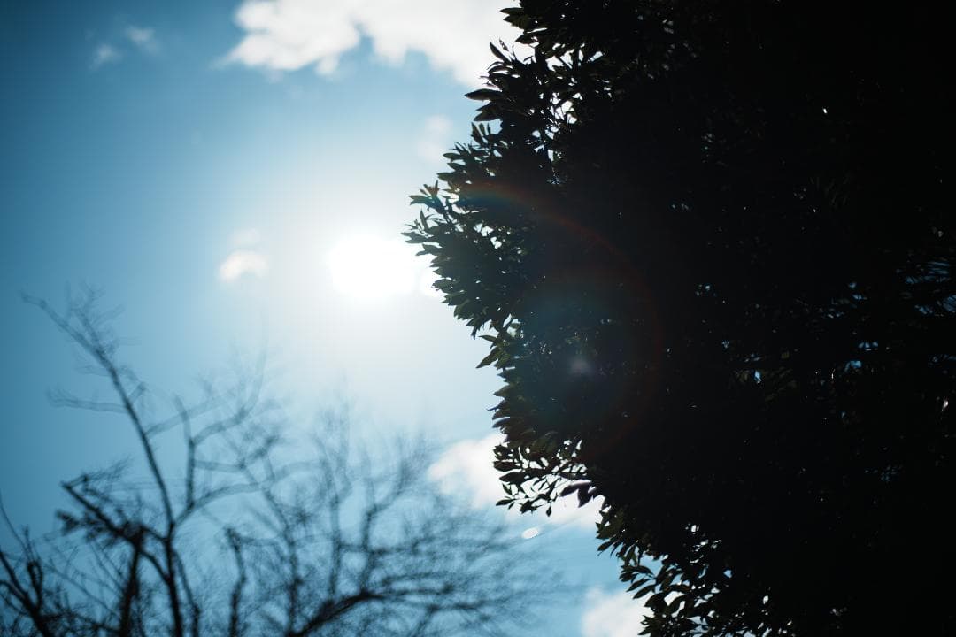 【箱付き】Carl Zeiss Planar 50mm F1.4 MMJ 647