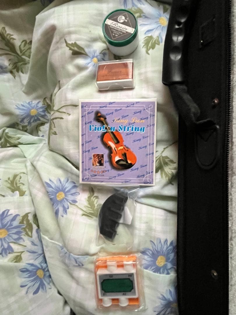 Hallstatt V-12 4/4 初心者 バイオリン　8点スターターセット