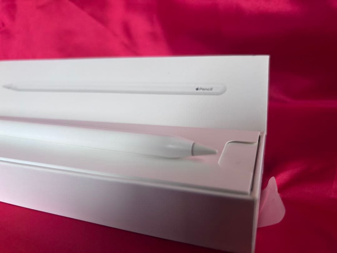 Apple Pencil (第2世代) ワンオーナーMU8F2J/A A2051