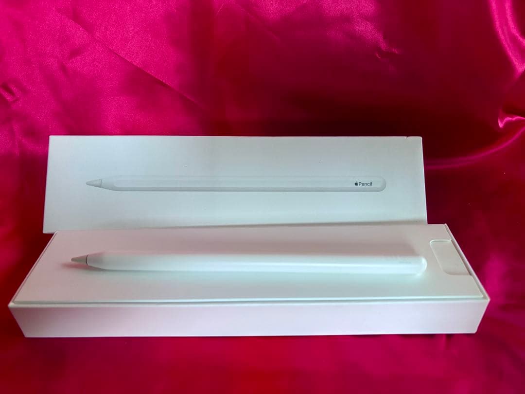 Apple Pencil (第2世代) ワンオーナーMU8F2J/A A2051